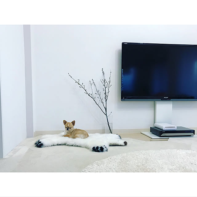 haruhinaさんの実例写真