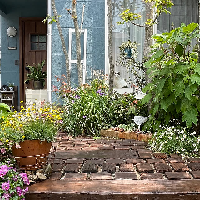 nobikoさんの部屋