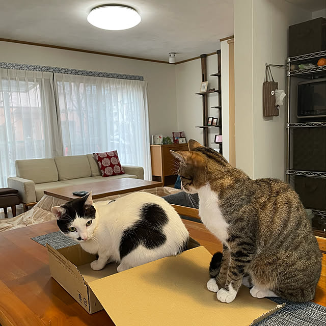 nobikoさんの実例写真