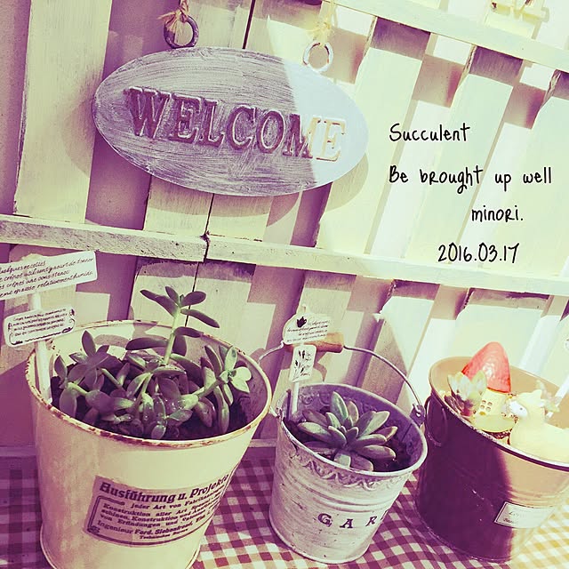 Minoriさんの実例写真