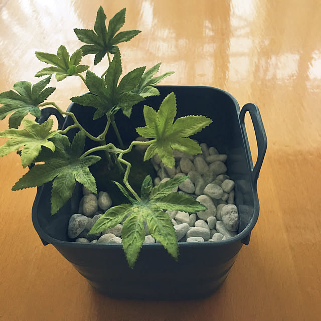 kanaさんの実例写真