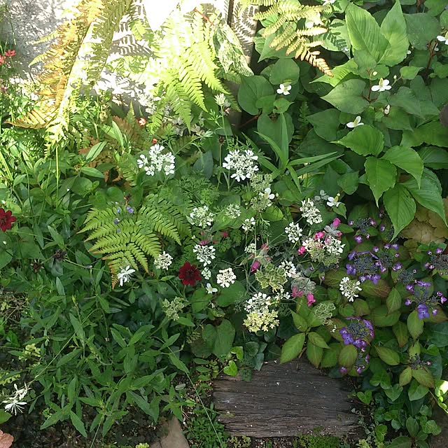 GreenWorksさんの実例写真