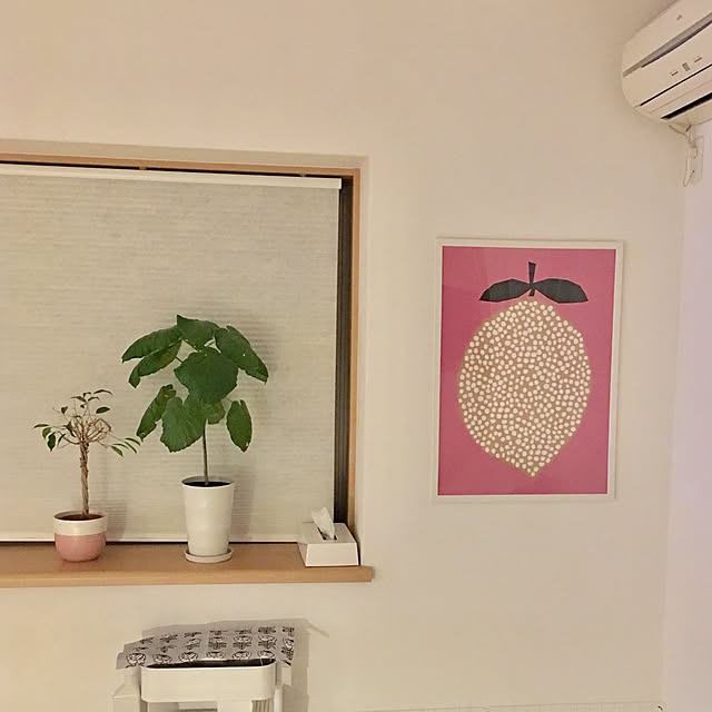 haritakaさんの実例写真