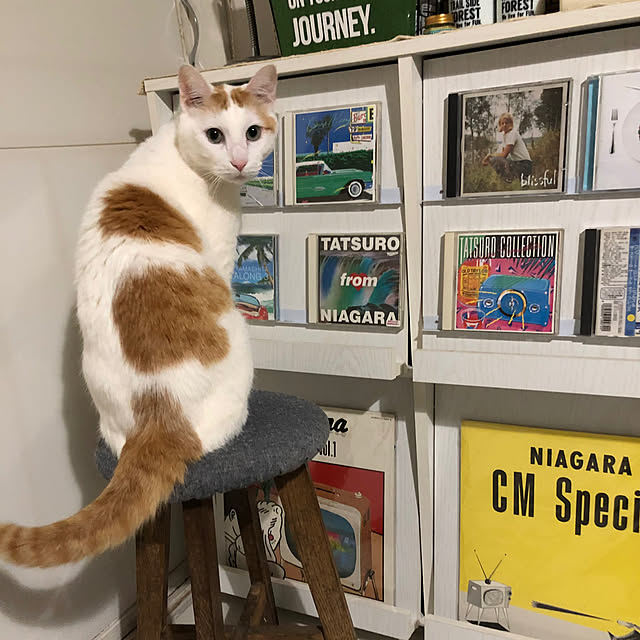 arayanさんの実例写真