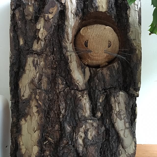 Ryuzoさんの実例写真