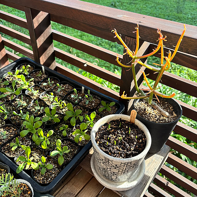 kyoko1124koさんの部屋