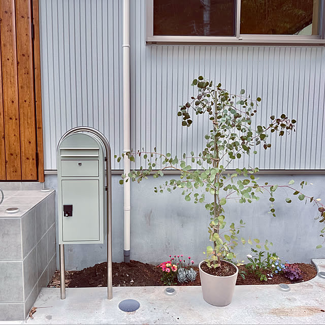 hachiさんの実例写真