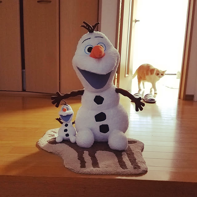 Kinanさんの実例写真
