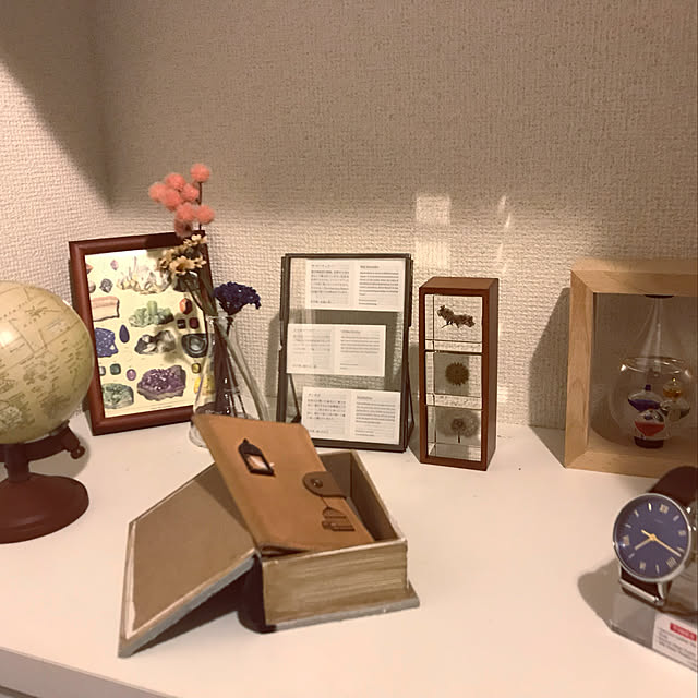 TomtomMedacaさんの実例写真