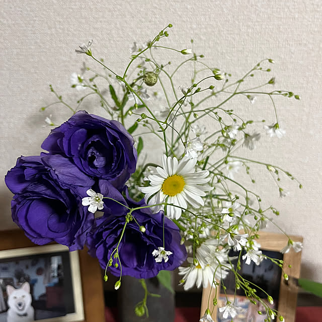 ritsukoさんの部屋
