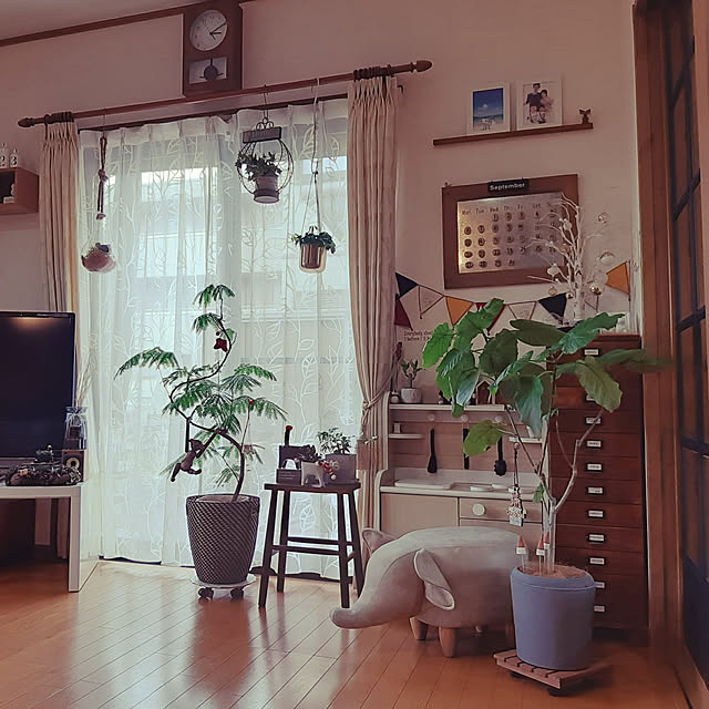 hacchiさんの実例写真