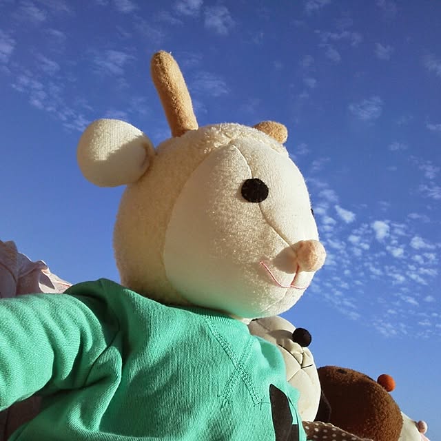 hanaさんの実例写真