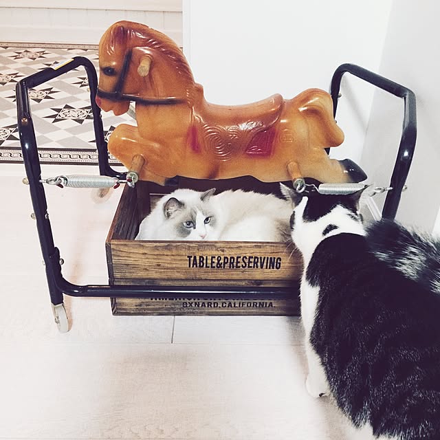 yuchiさんの実例写真