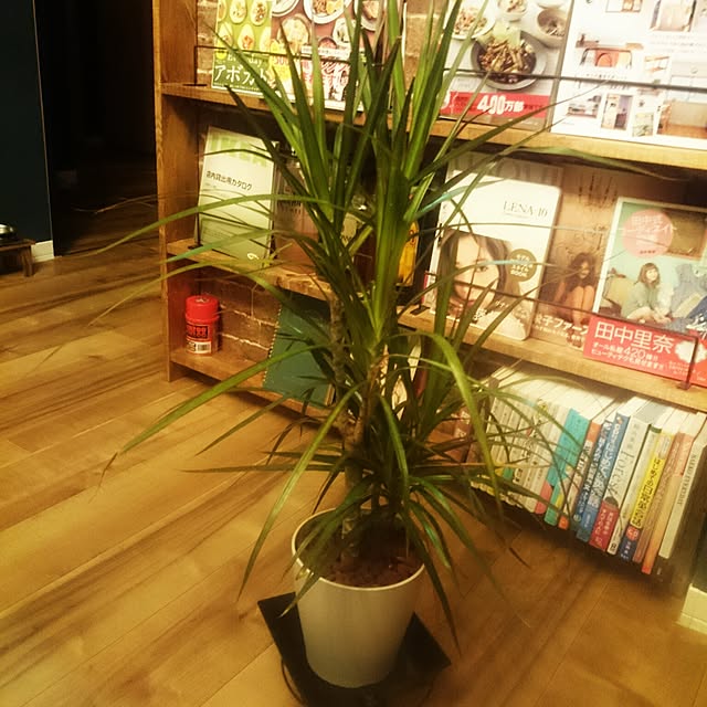 ALICEさんの実例写真