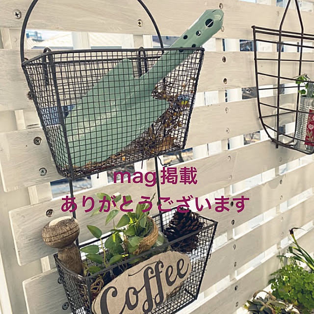 mamiさんの実例写真