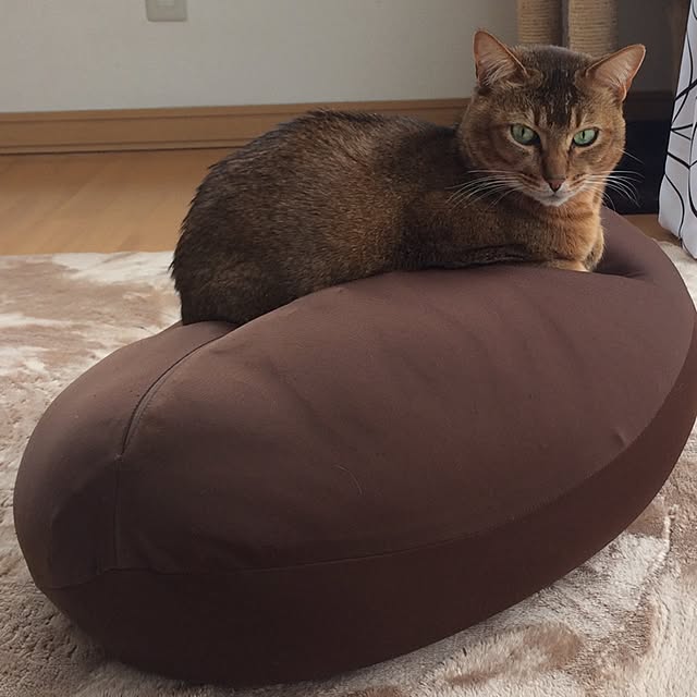 Yumiさんの実例写真