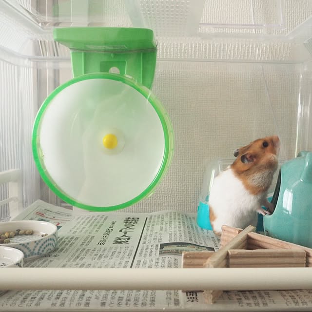 Cheese.12さんの実例写真