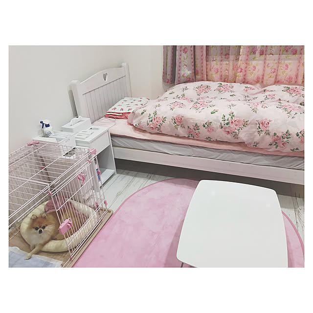 nyaapo_homeさんの実例写真