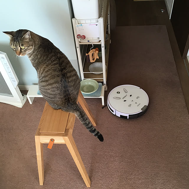 mikomaruさんの実例写真