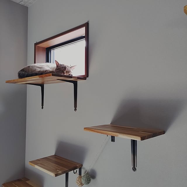 Atelier_tamakiさんの実例写真