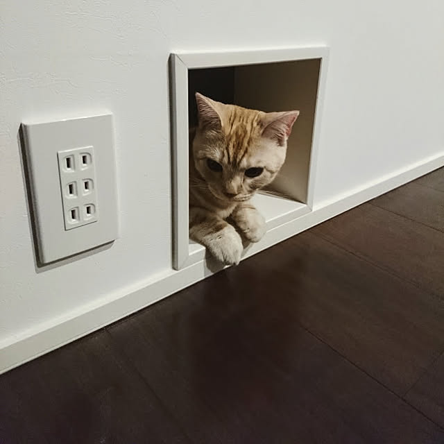 malmさんの実例写真