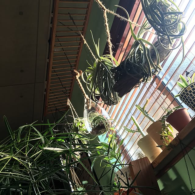 ANNAさんの実例写真