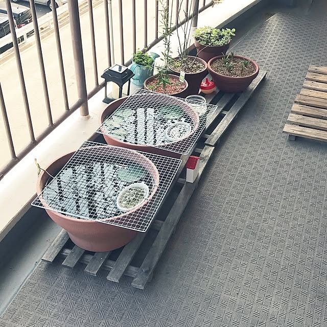 mi-saさんの実例写真