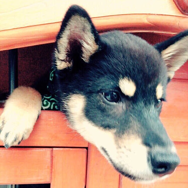 kazuさんの実例写真