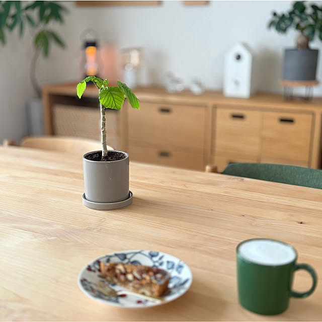 Anthuriumさんの実例写真