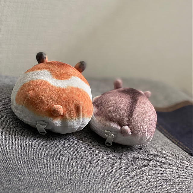 ohanaさんの実例写真
