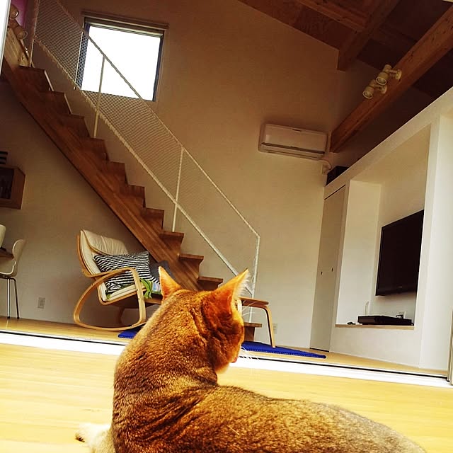 YUDYさんの実例写真