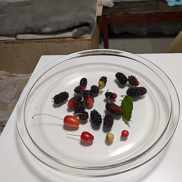 mori_6_12さんの実例写真