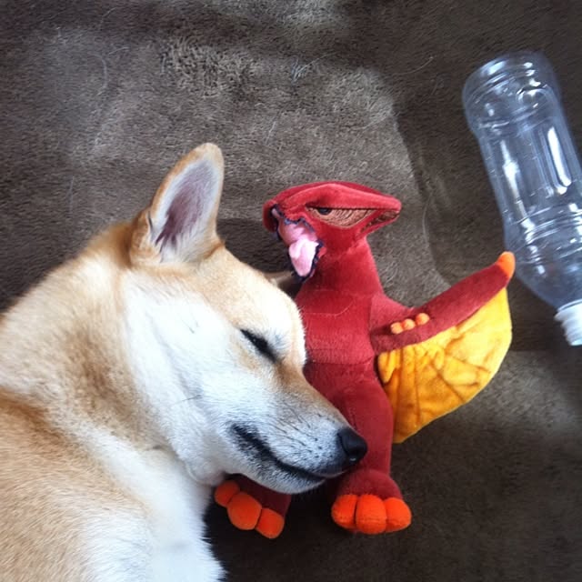 ushioさんの実例写真