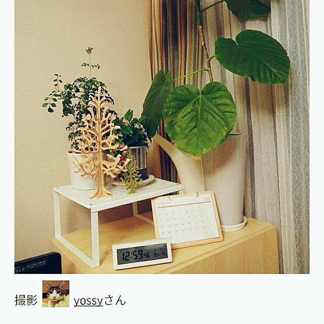 yossyさんの実例写真