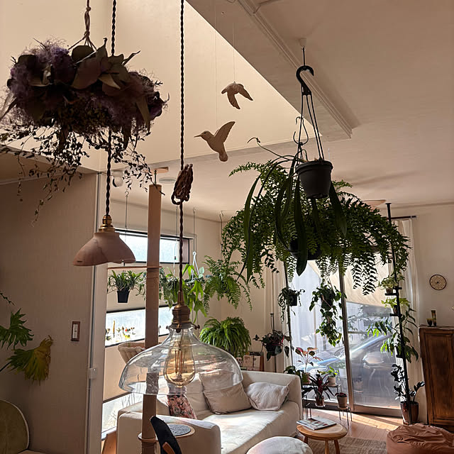 greycatsさんの部屋