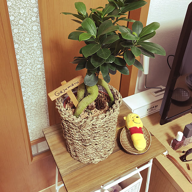 saenyanco410さんの実例写真