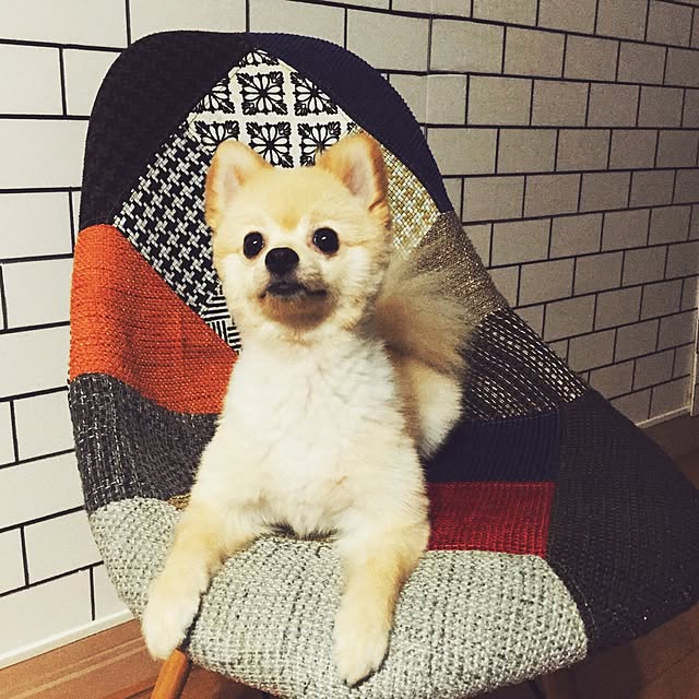 franさんの実例写真