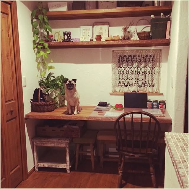 piroさんの実例写真