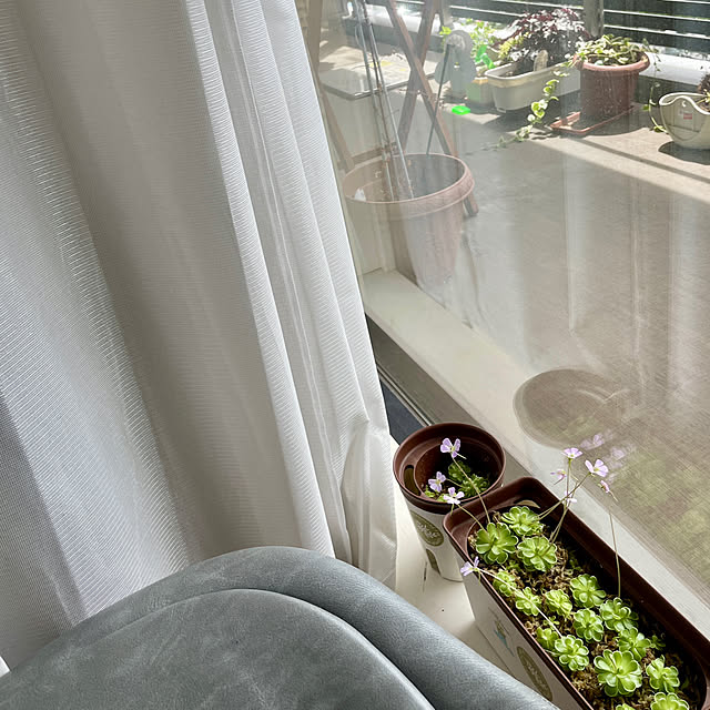 Lucyさんの部屋