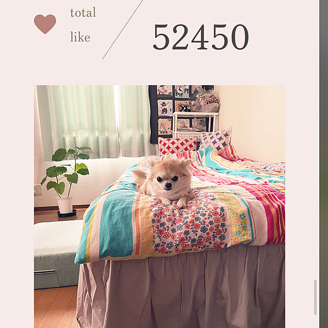 natsumiさんの部屋