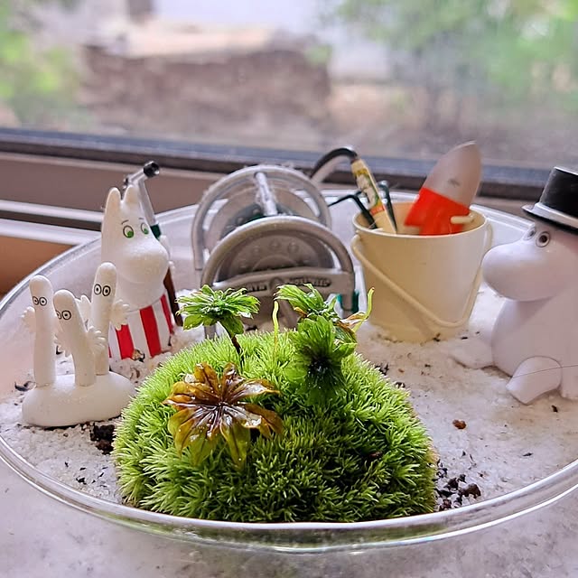 kazuraさんの部屋
