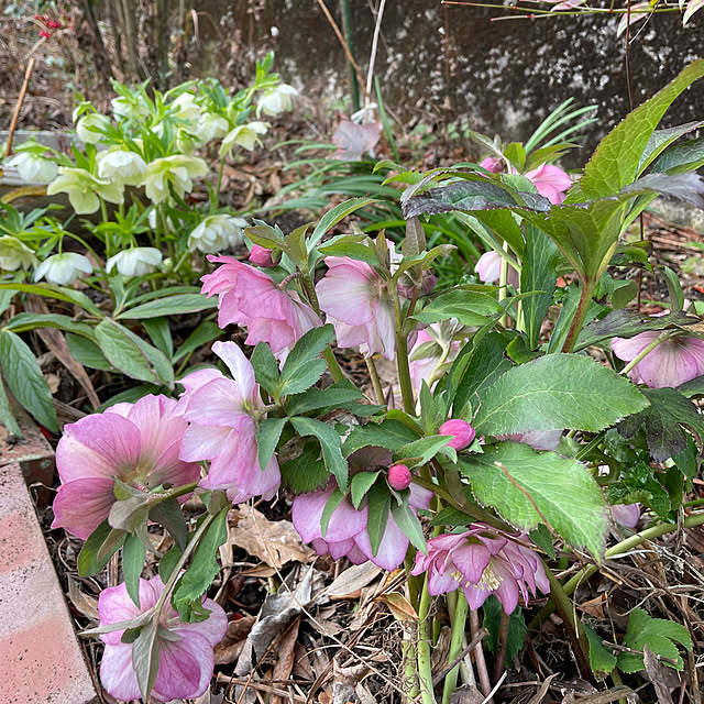 natsumiさんの部屋
