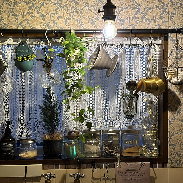 canetteさんの部屋