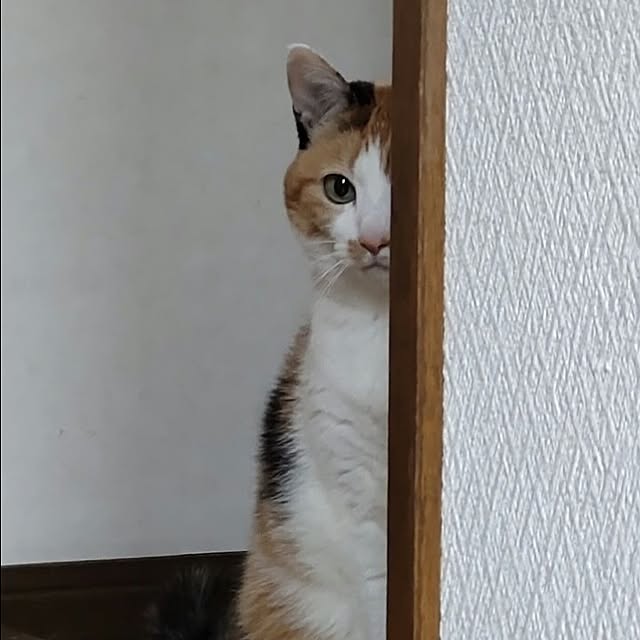 nanaさんの部屋