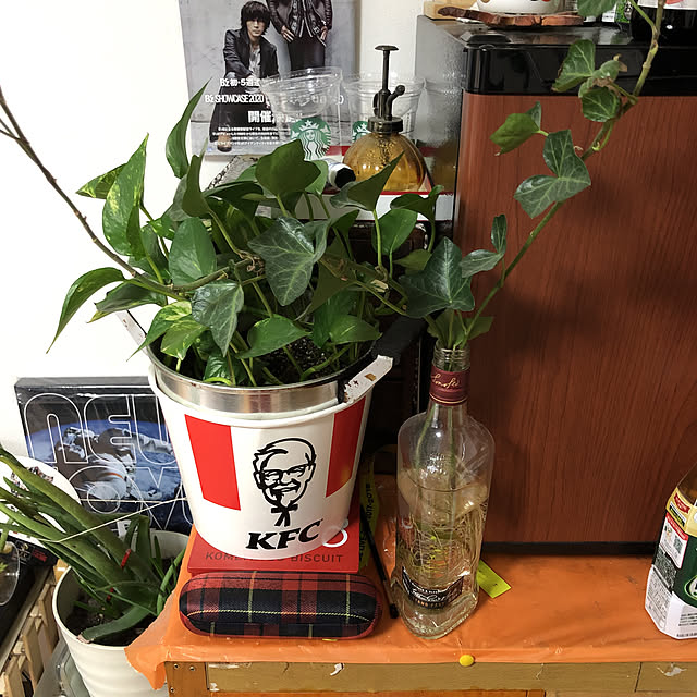 kiyoさんの実例写真