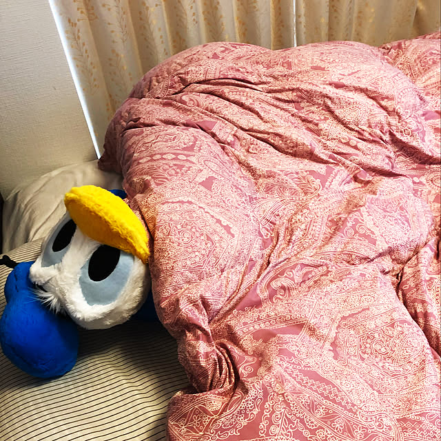 buzzdonaさんの実例写真