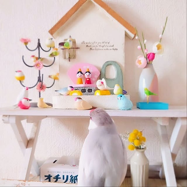 mikanさんの部屋