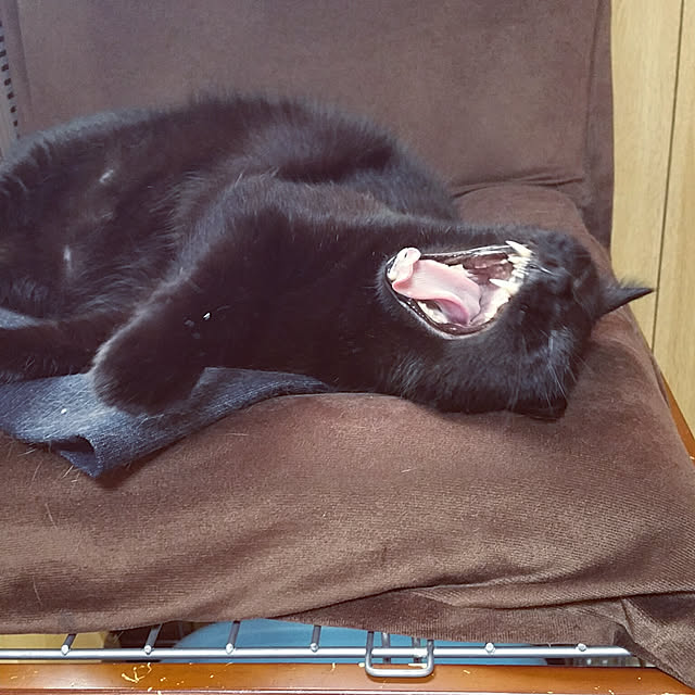 yukoさんの実例写真