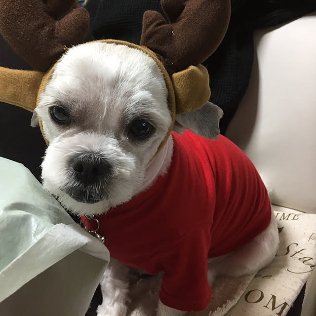 emiさんの実例写真