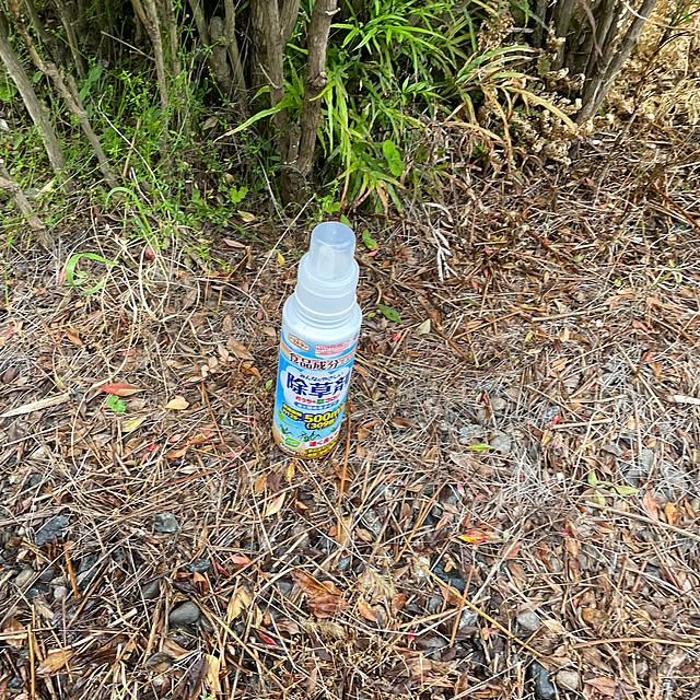 burubonさんの実例写真